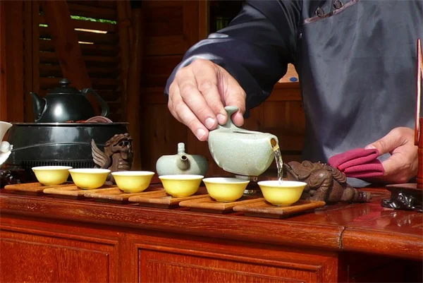 触接触症で苗が激変!30秒撫でるだけで茎が太くなる驚きの方法
