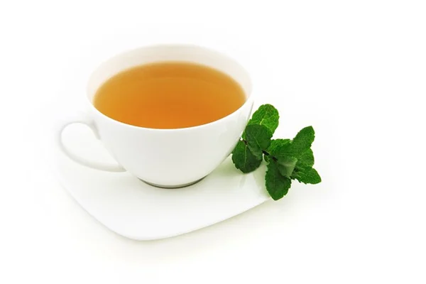 常結果植物とは？意味と一季成りとの違いを徹底解説