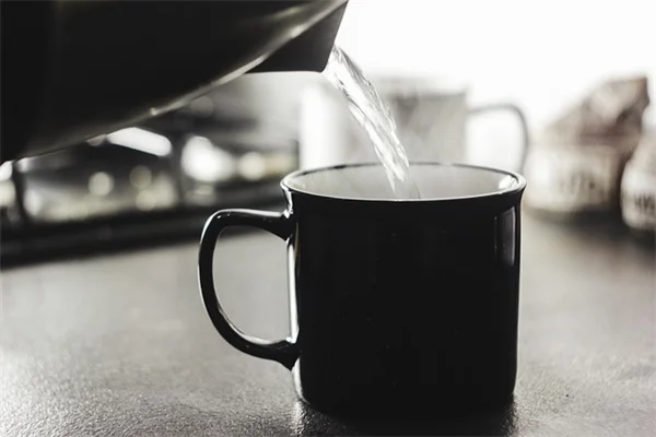 多肉植物の花を咲かせる5つの実践テクニック